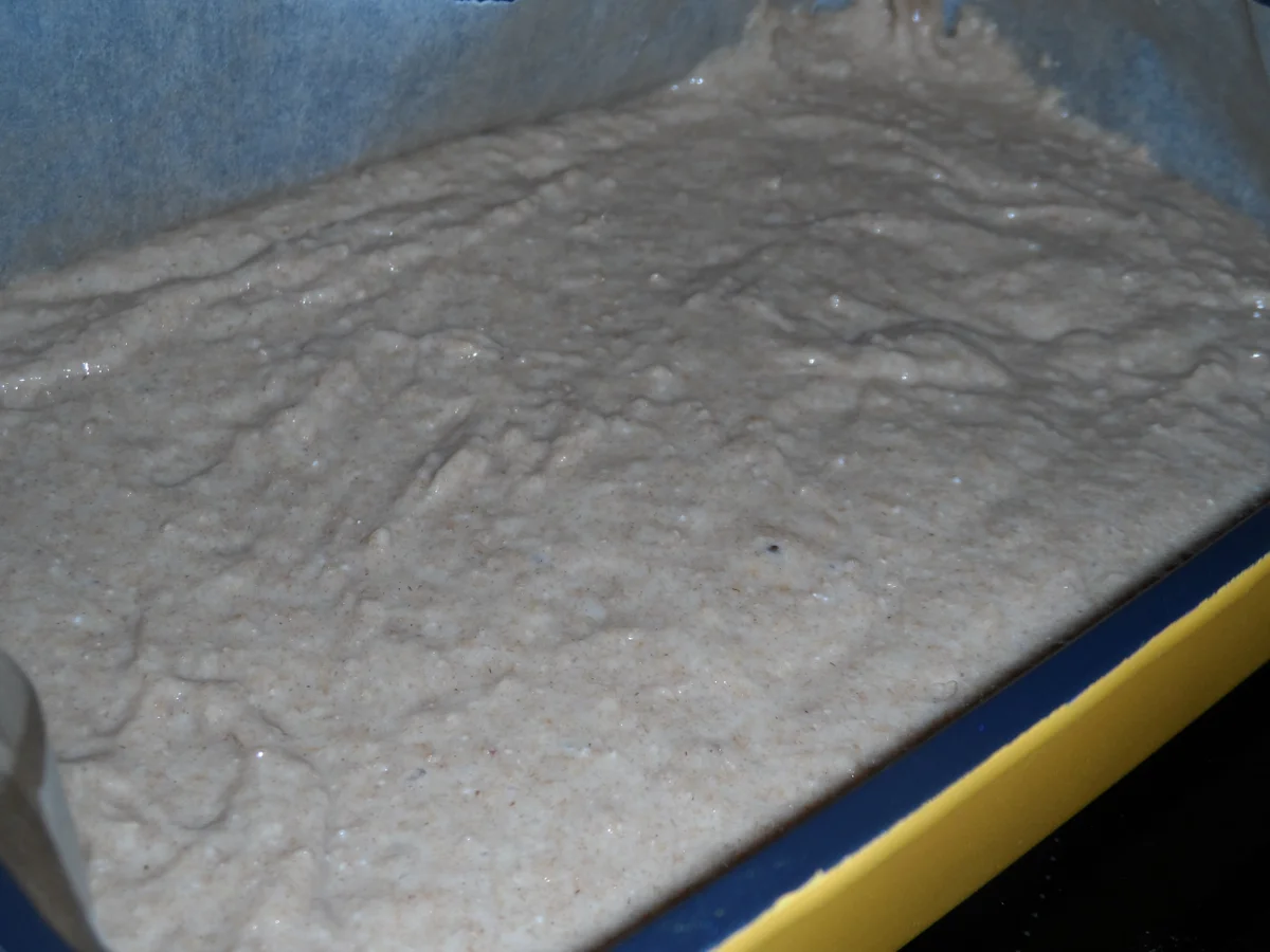 BiNe` S BUTTERMILCH - KOKOSKUCHEN - Rezept - Bild Nr. 1498