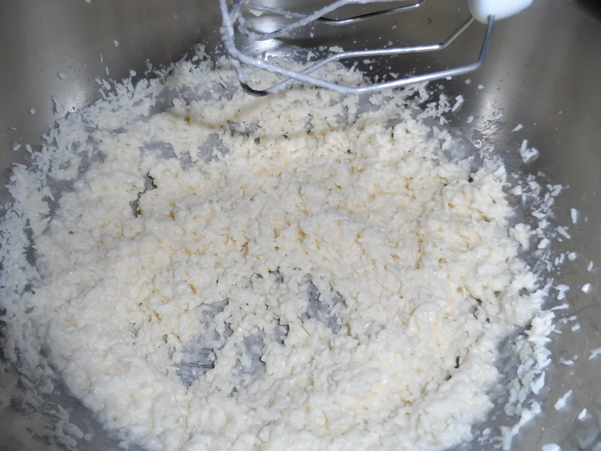 BiNe` S BUTTERMILCH - KOKOSKUCHEN - Rezept - Bild Nr. 1499