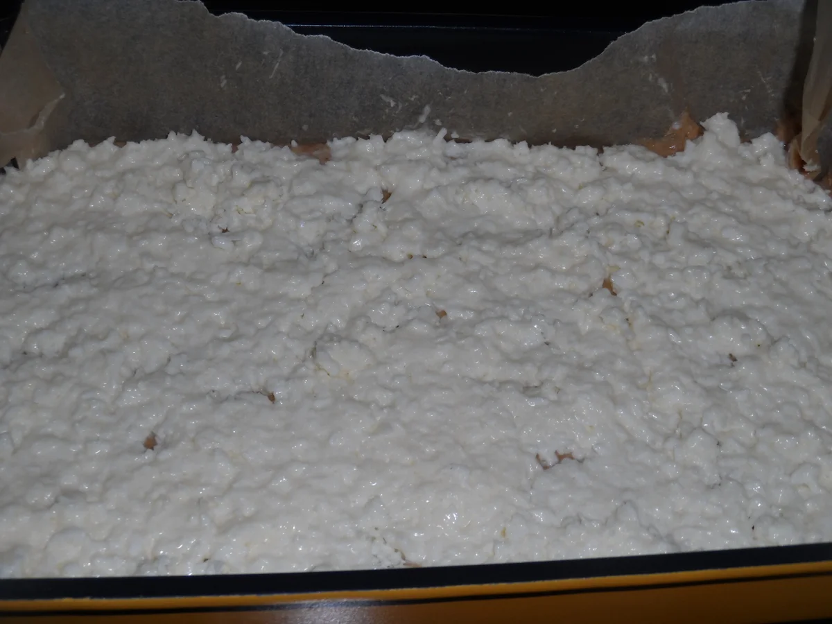 BiNe` S BUTTERMILCH - KOKOSKUCHEN - Rezept - Bild Nr. 1500