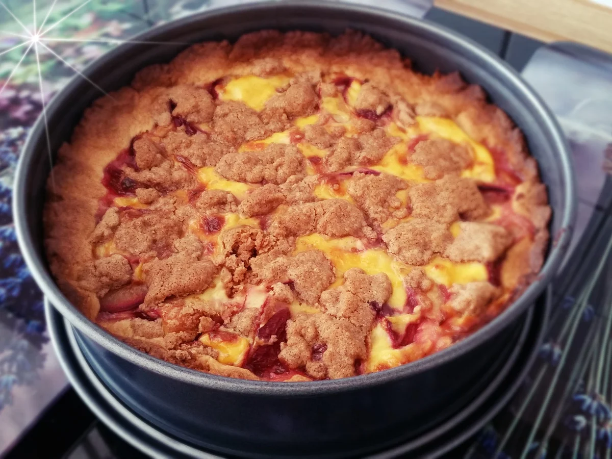 Pflaumenkuchen mit Vanillepudding und Zimtstreusel - Rezept - Bild Nr. 1395