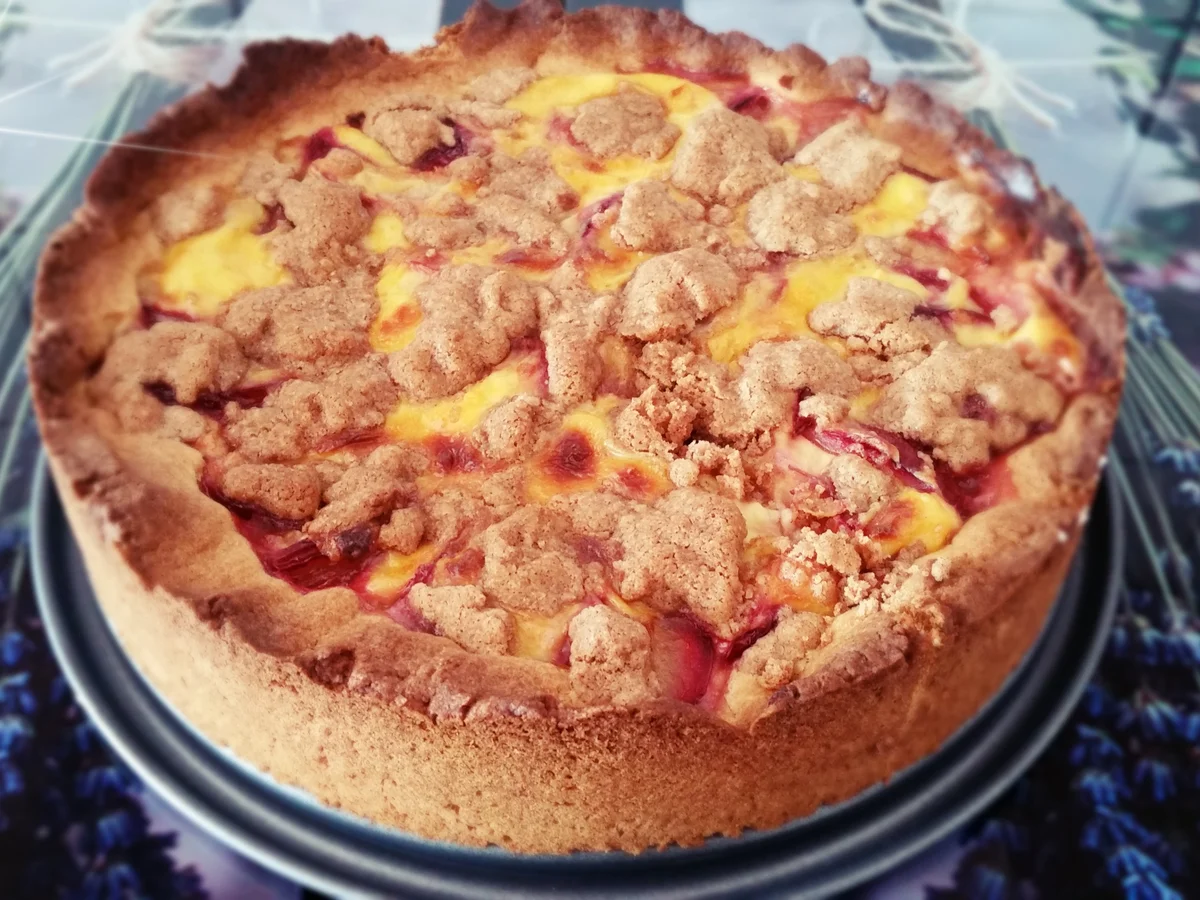 Pflaumenkuchen mit Vanillepudding und Zimtstreusel - Rezept - Bild Nr. 1396