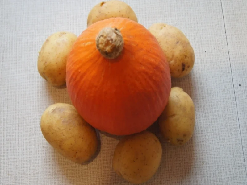 Kürbis-Kartoffel-Knödel mit Steinpilzragout - Rezept - Bild Nr. 1417