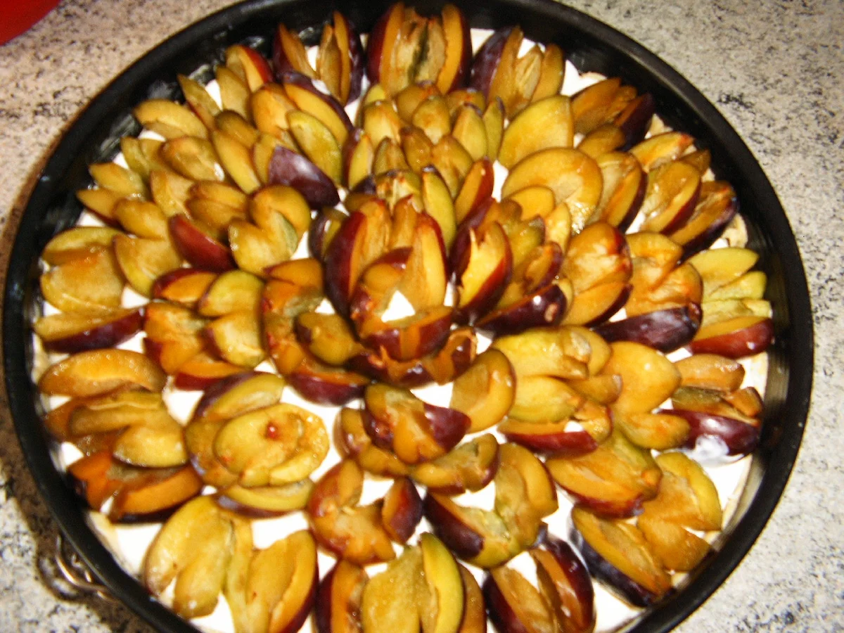 Rezept: Quark-Pflaumen-Kuchen Bild Nr. 1423 Quark-Pflaumen-Kuchen - Rezept - Bild Nr. 1423