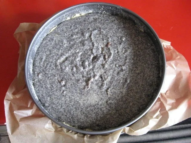 Genießer Mohnkuchen - Rezept - Bild Nr. 1429