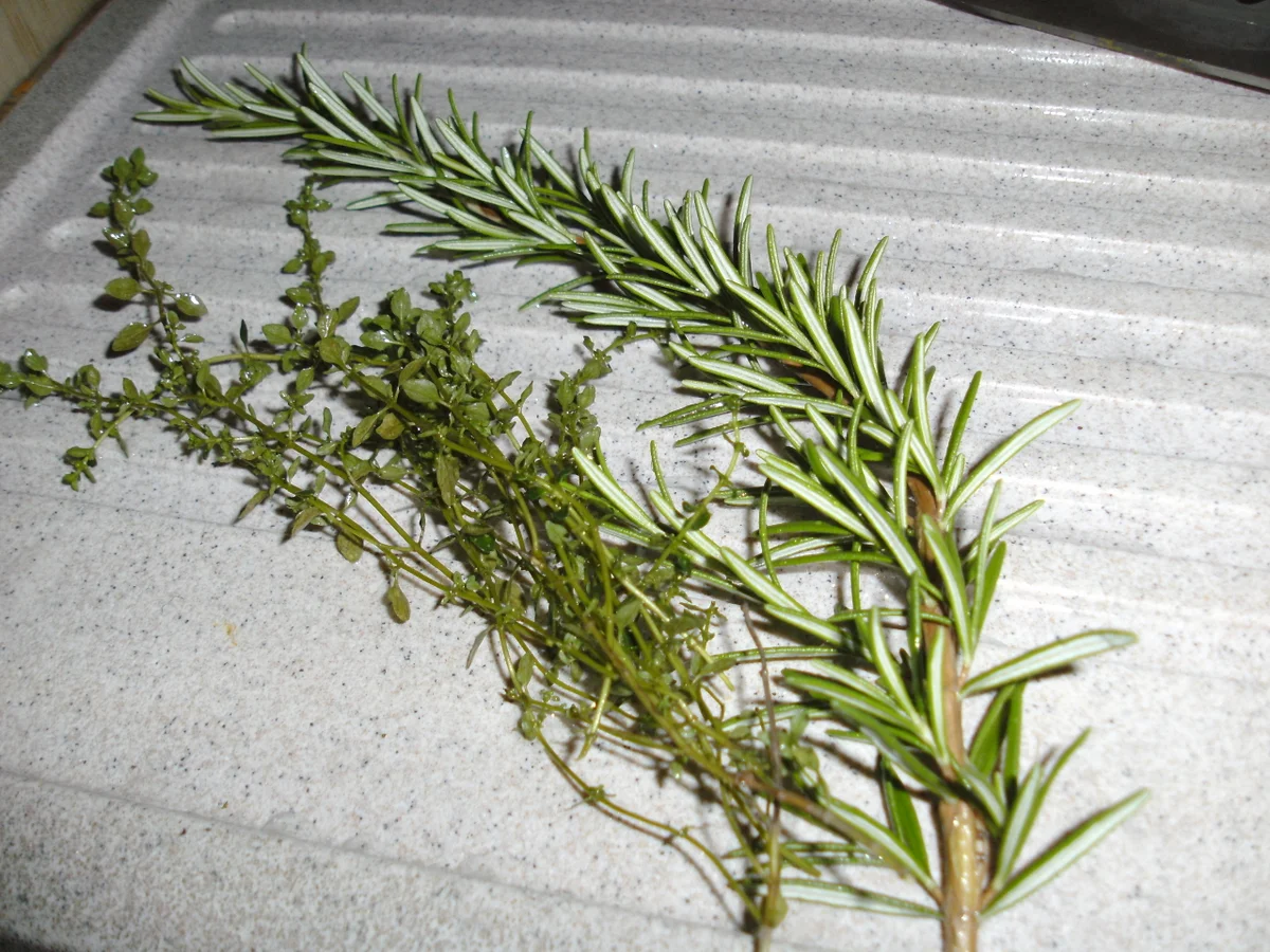 Kürbis mit Mettbällchen und Sahnesoße - Rezept - Bild Nr. 1422