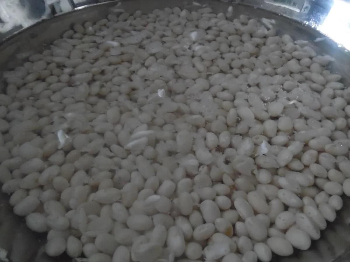 Florentinische Bohnensuppe - Rezept - Bild Nr. 1447