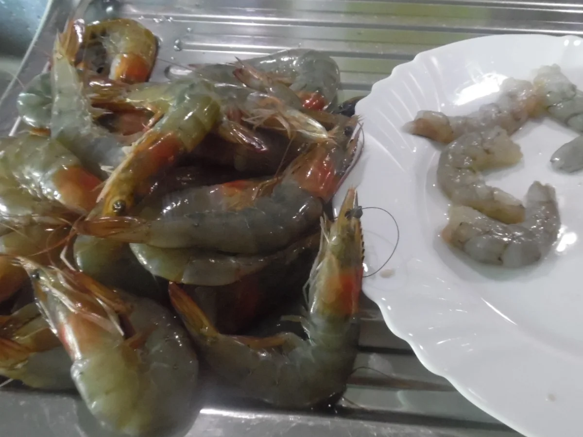 Garnelen in scharfer Kokos-Mango-Soße im Reisring - Rezept - Bild Nr. 1440