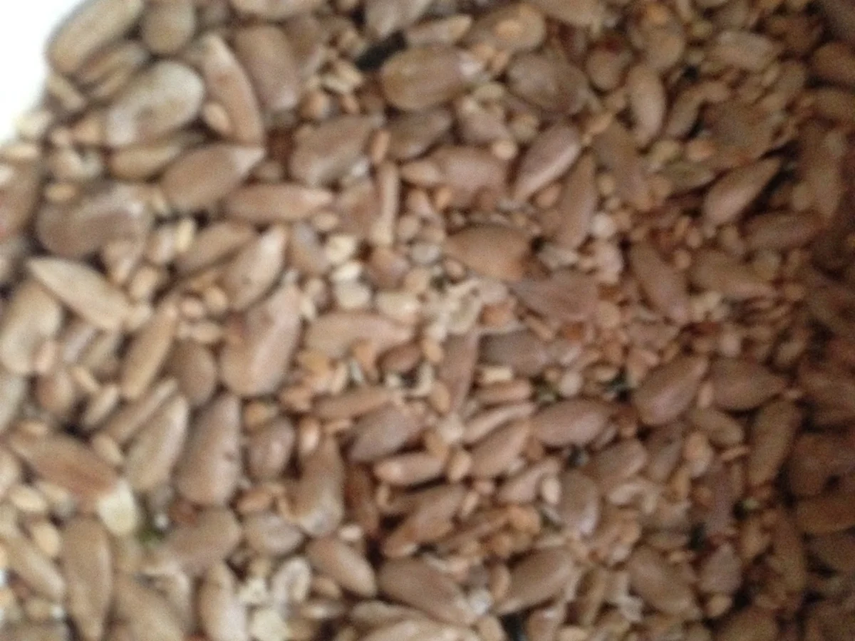 Rezept: Vollkorn Möhrenbrot mit Mohn Bild Nr. 4448 Vollkorn Möhrenbrot mit Mohn - Rezept - Bild Nr. 4448