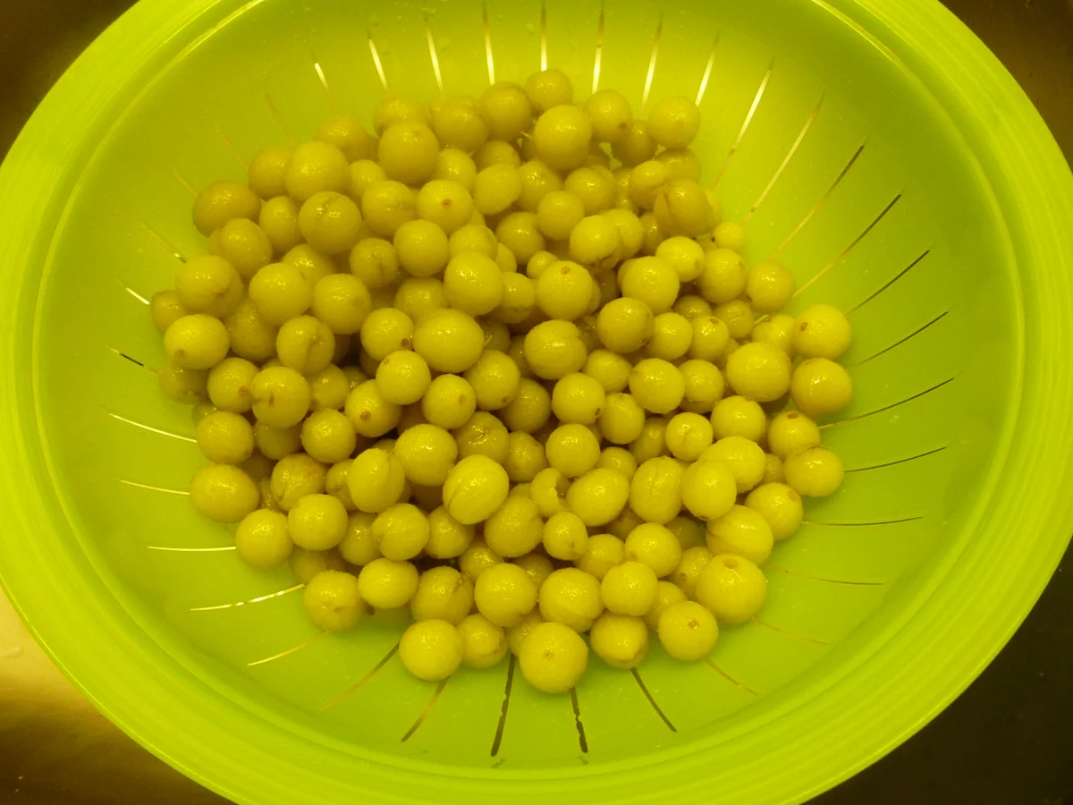 Rezept: Stachelbeer-Marzipan-Torte Bild Nr. 1446 Stachelbeer-Marzipan-Torte - Rezept - Bild Nr. 1446