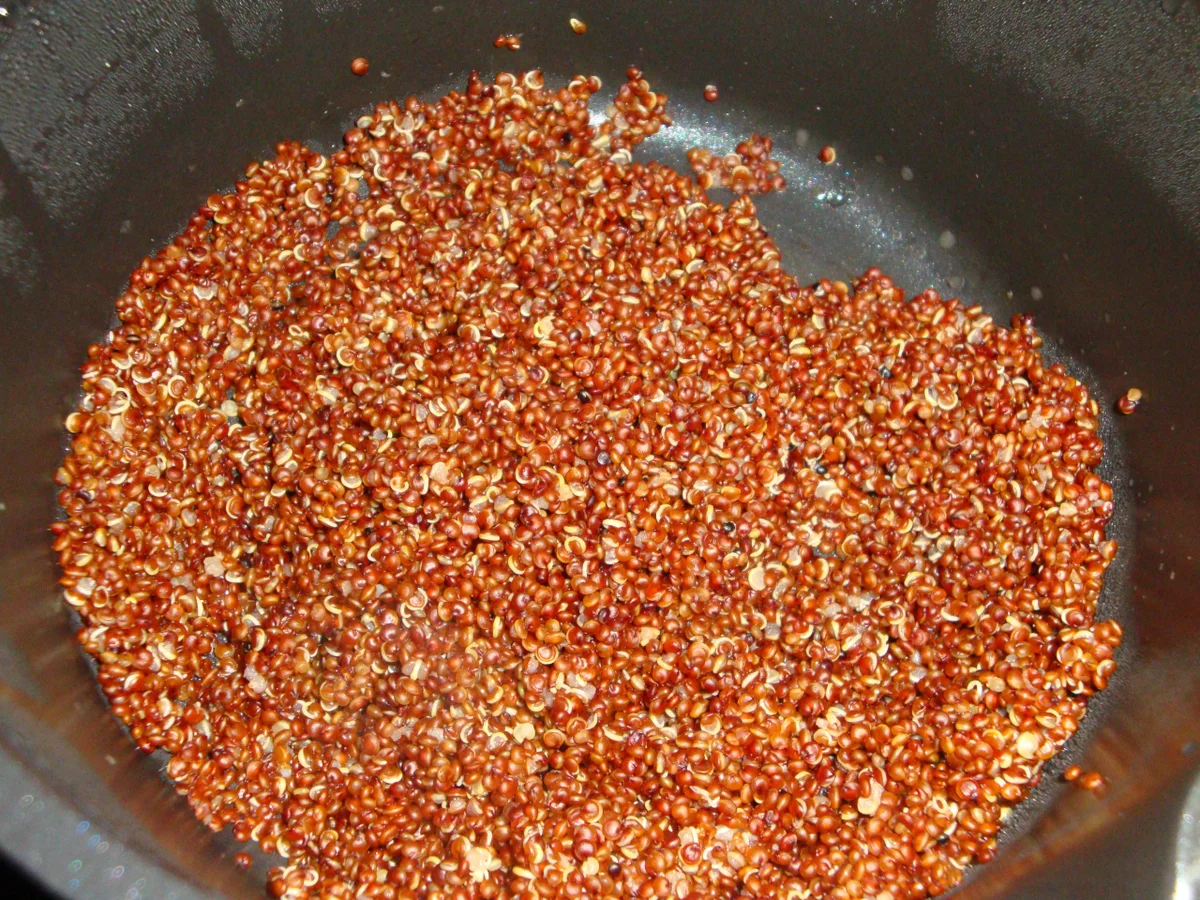 Gemüsefritata mit rotem Quinoa - Rezept - Bild Nr. 1540