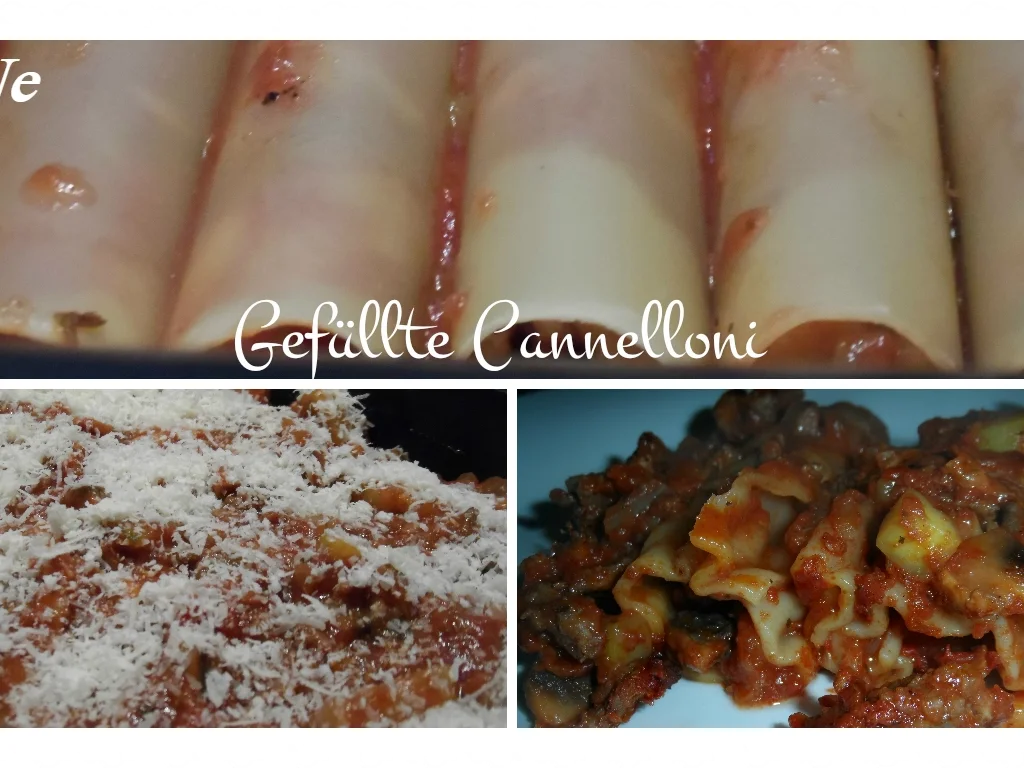 BiNe` S GEFÜLLTE CANNELLONI - Rezept - Bild Nr. 1474