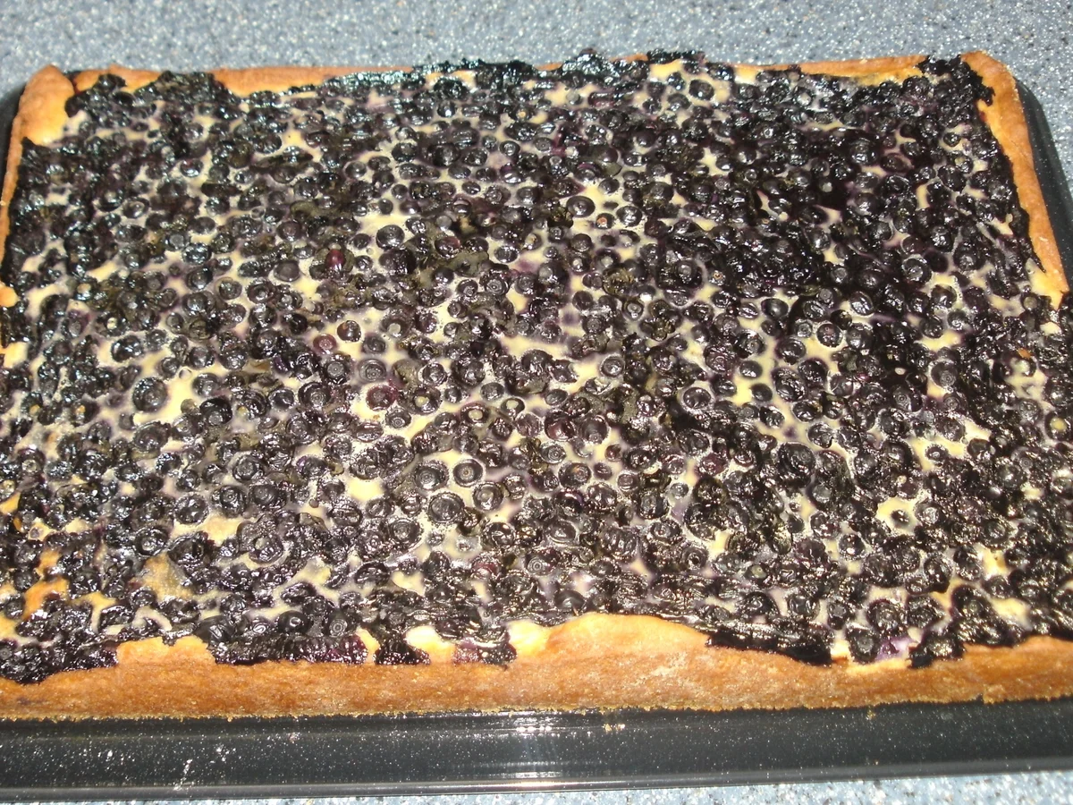 Rezept: Heidelbeerkuchen Bild Nr. 1474 Heidelbeerkuchen - Rezept - Bild Nr. 1474