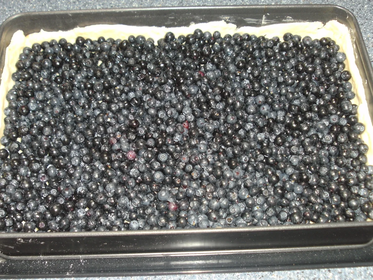 Rezept: Heidelbeerkuchen Bild Nr. 1479 Heidelbeerkuchen - Rezept - Bild Nr. 1479