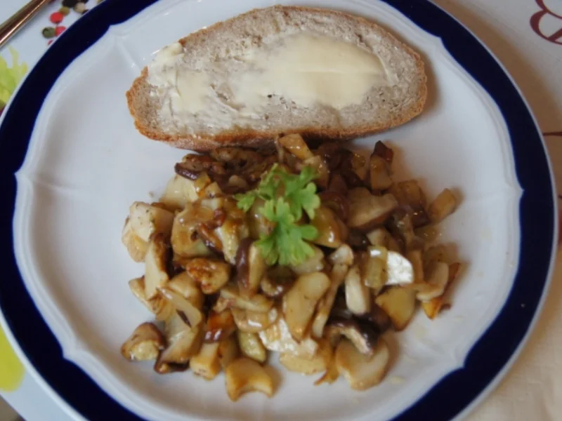 Rezept: Steinpilzpfanne Bild Nr. 1496 Steinpilzpfanne - Rezept - Bild Nr. 1496