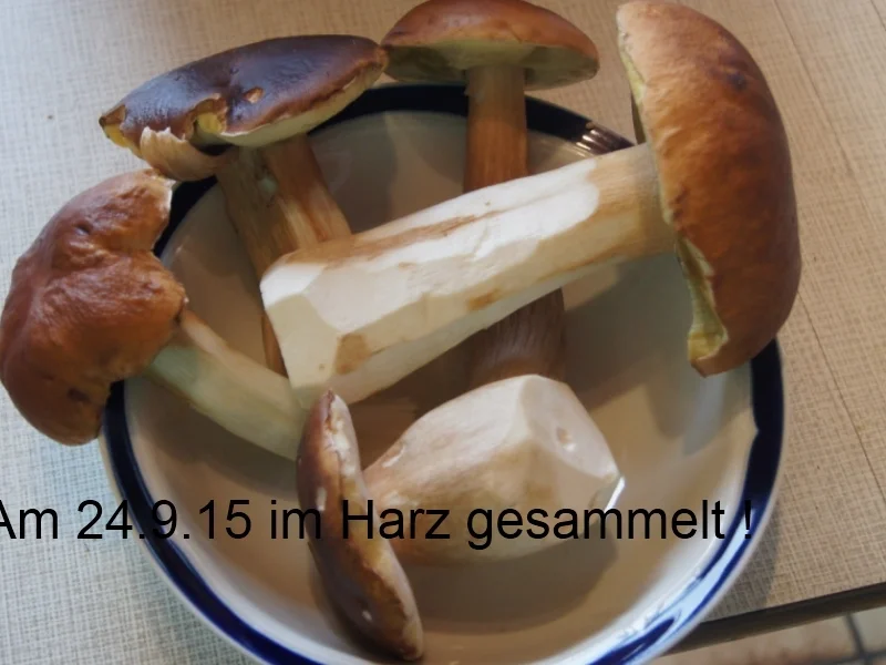 Rezept: Steinpilzpfanne Bild Nr. 1497 Steinpilzpfanne - Rezept - Bild Nr. 1497