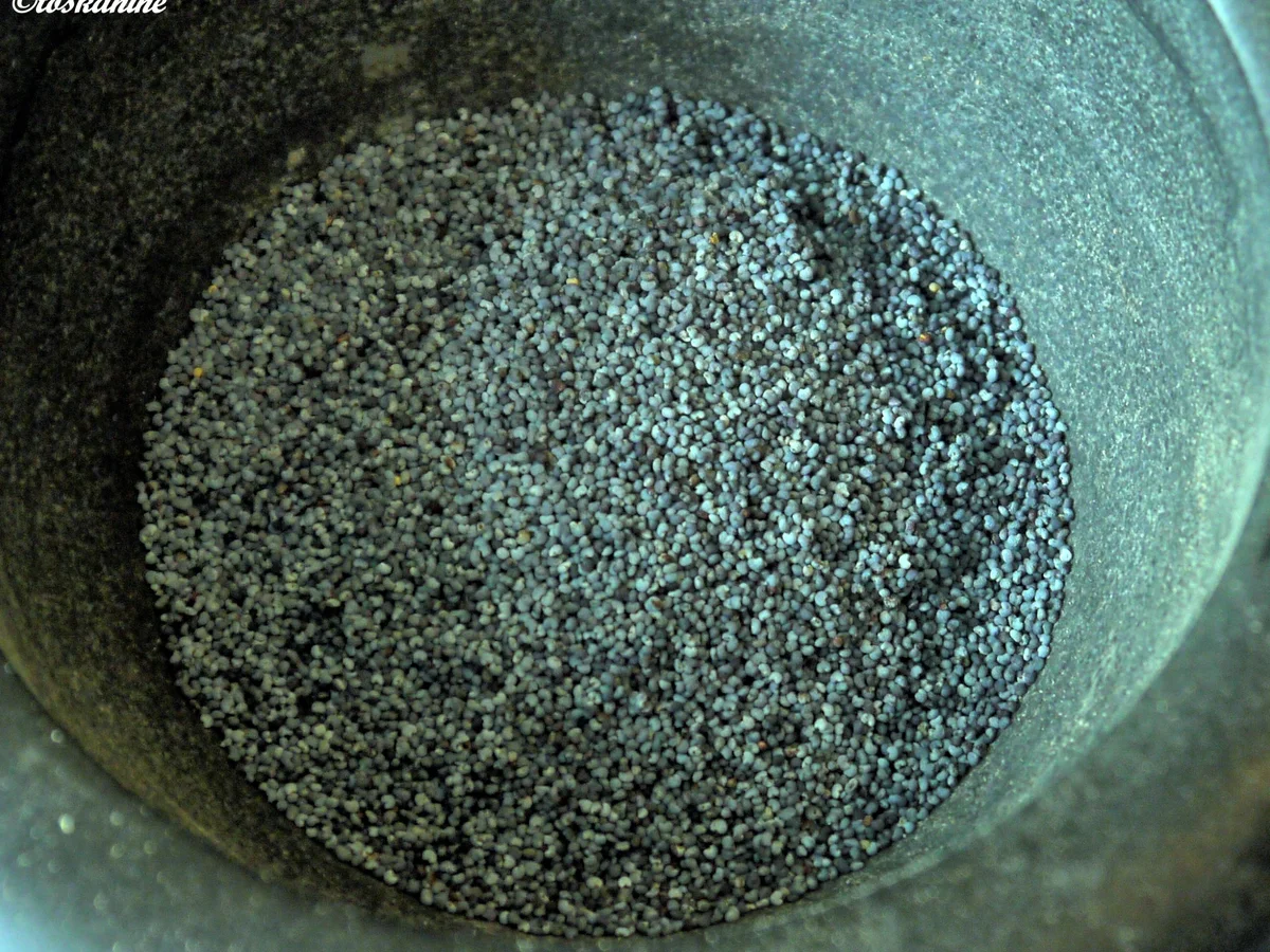 Quark-Mohn-Creme mit beschwipsten Pflaumen - Rezept - Bild Nr. 1518