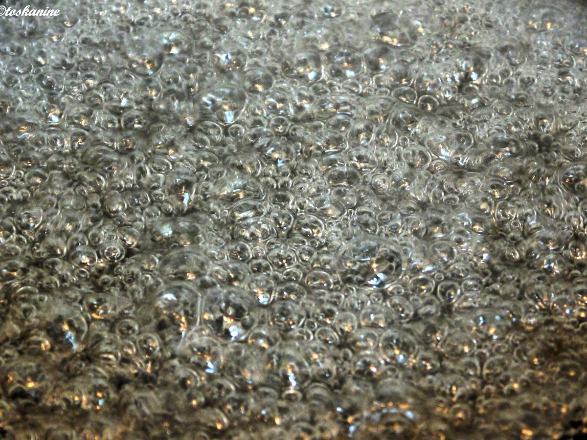 Quark-Mohn-Creme mit beschwipsten Pflaumen - Rezept - Bild Nr. 1519