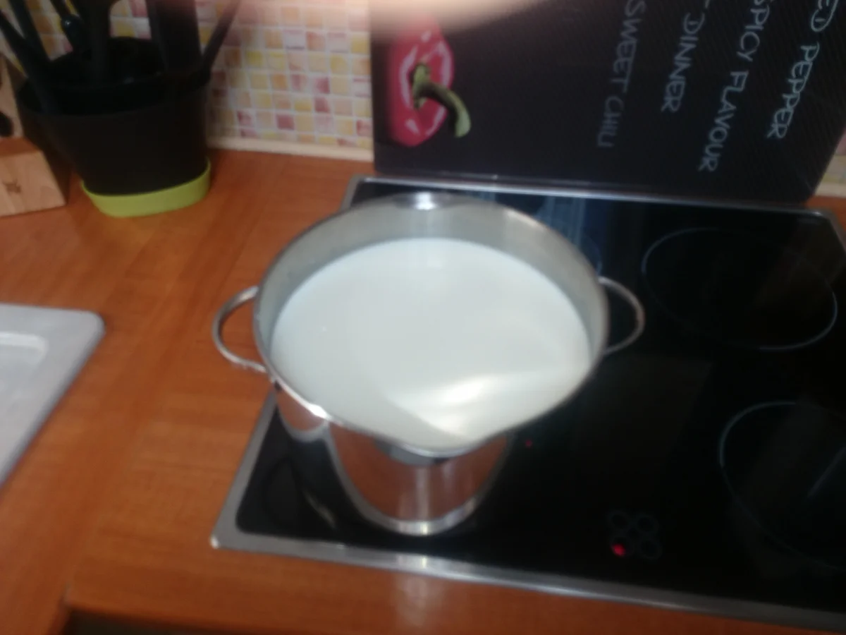 Mozzarella - Rezept - Bild Nr. 1516