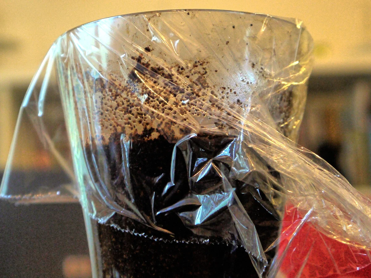 Cold Brew Coffee - Rezept - Bild Nr. 1531