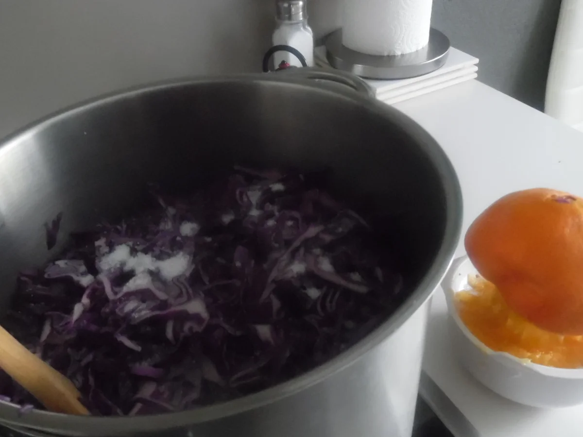 Apfelrotkohl, Apfelrotkraut oder Apfelblaukraut - Rezept - Bild Nr. 1532