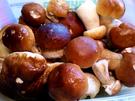 Steinpilze pur ... - Rezept - Bild Nr. 1539