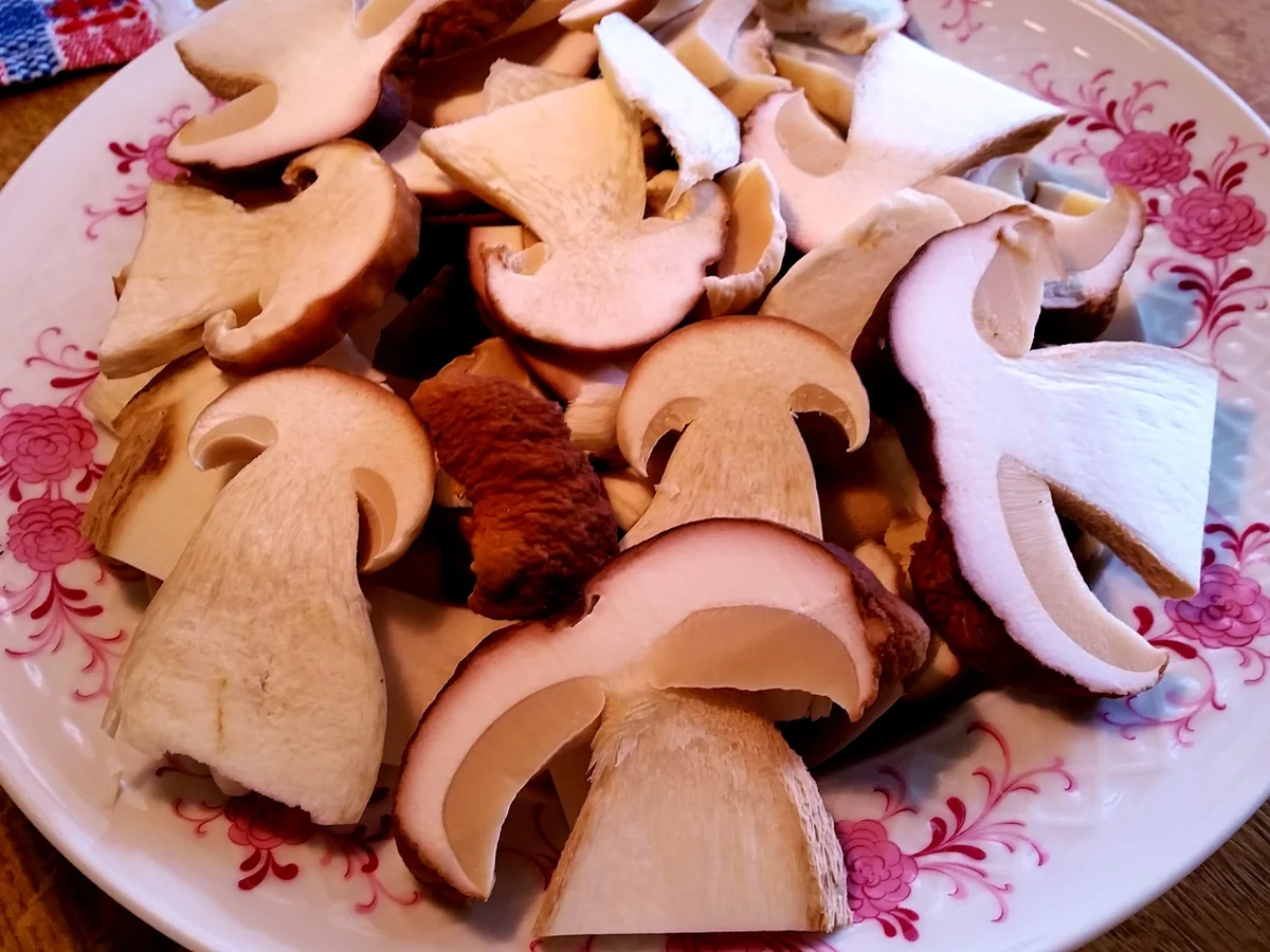 Steinpilze pur ... - Rezept - Bild Nr. 1540