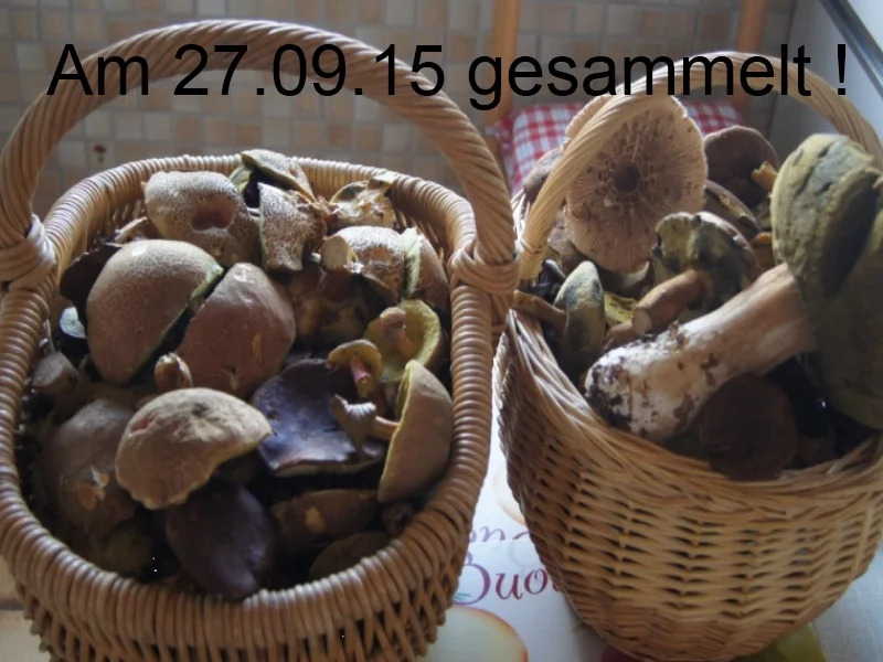 Gebackene Steinpilze mit Griebenschmalz-Bauerbrot - Rezept - Bild Nr. 1539