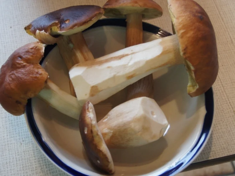 Rahmfladen mit Steinpilzen - Rezept - Bild Nr. 1541