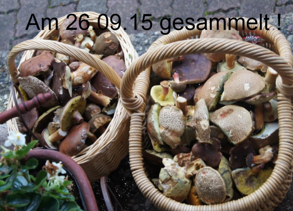 Möhren-Kartoffel-Knödel mit Waldpilzragout - Rezept - Bild Nr. 1552
