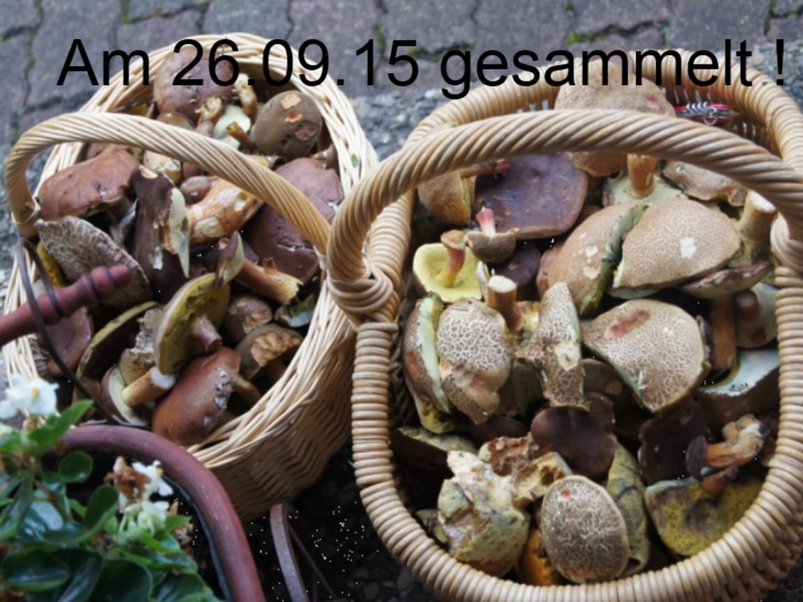 Möhren-Kartoffel-Knödel mit Waldpilzragout - Rezept - kochbar.de