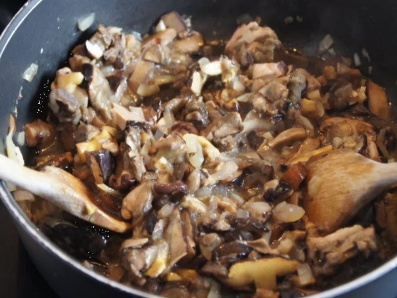 Möhren-Kartoffel-Knödel mit Waldpilzragout - Rezept - Bild Nr. 1559