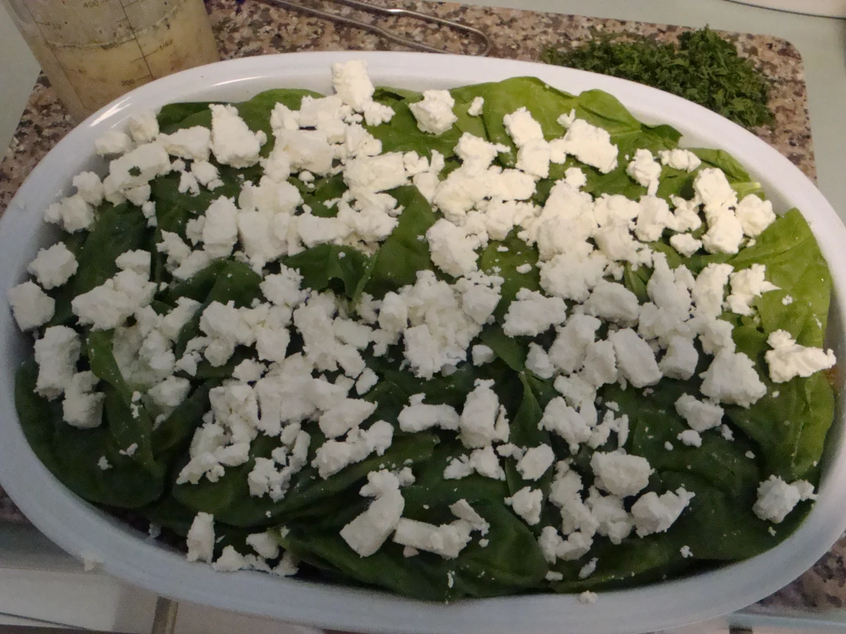 Rezept: Hackfleisch trifft Schafskäse in einem Auflauf Bild Nr. 1617 Hackfleisch trifft Schafskäse in einem Auflauf - Rezept - Bild Nr. 1617