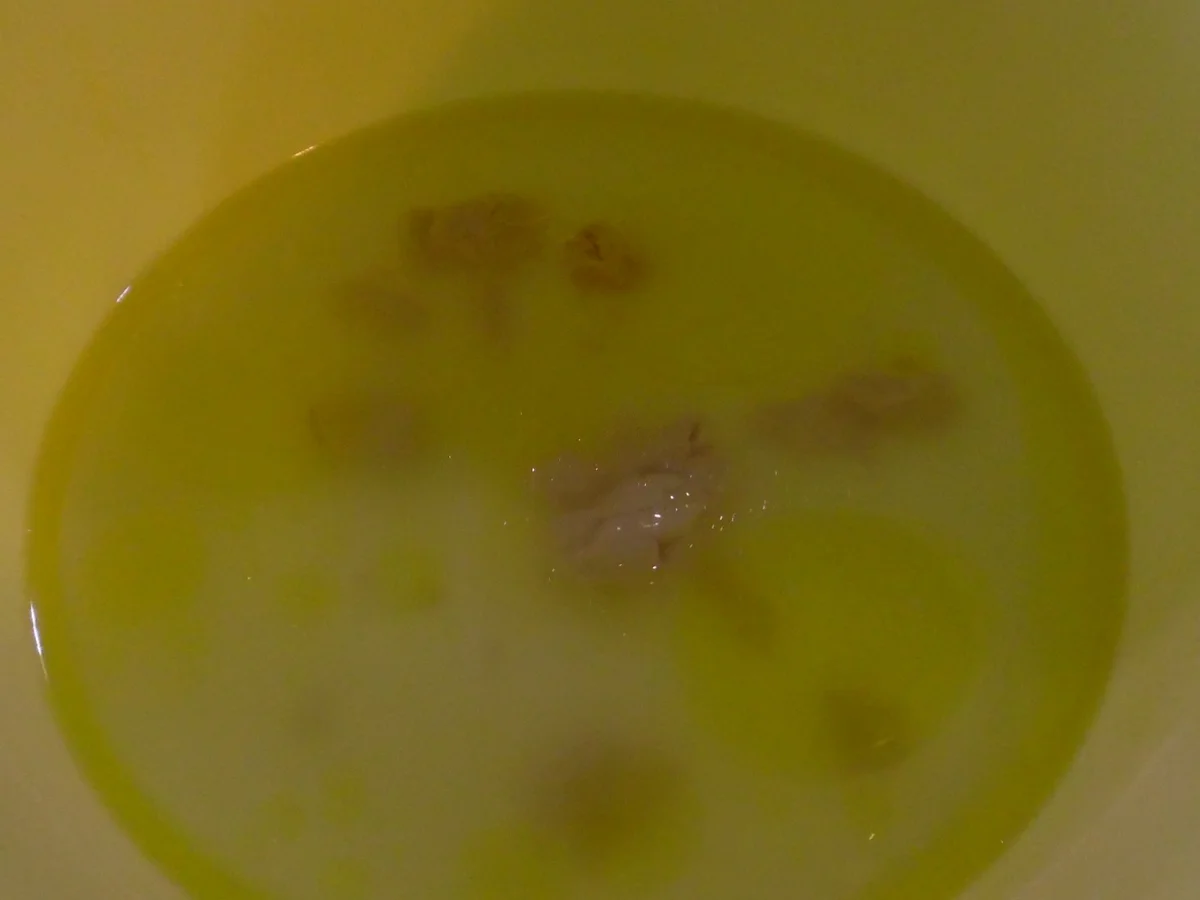 Olivenöl-Brot - Rezept - Bild Nr. 1599