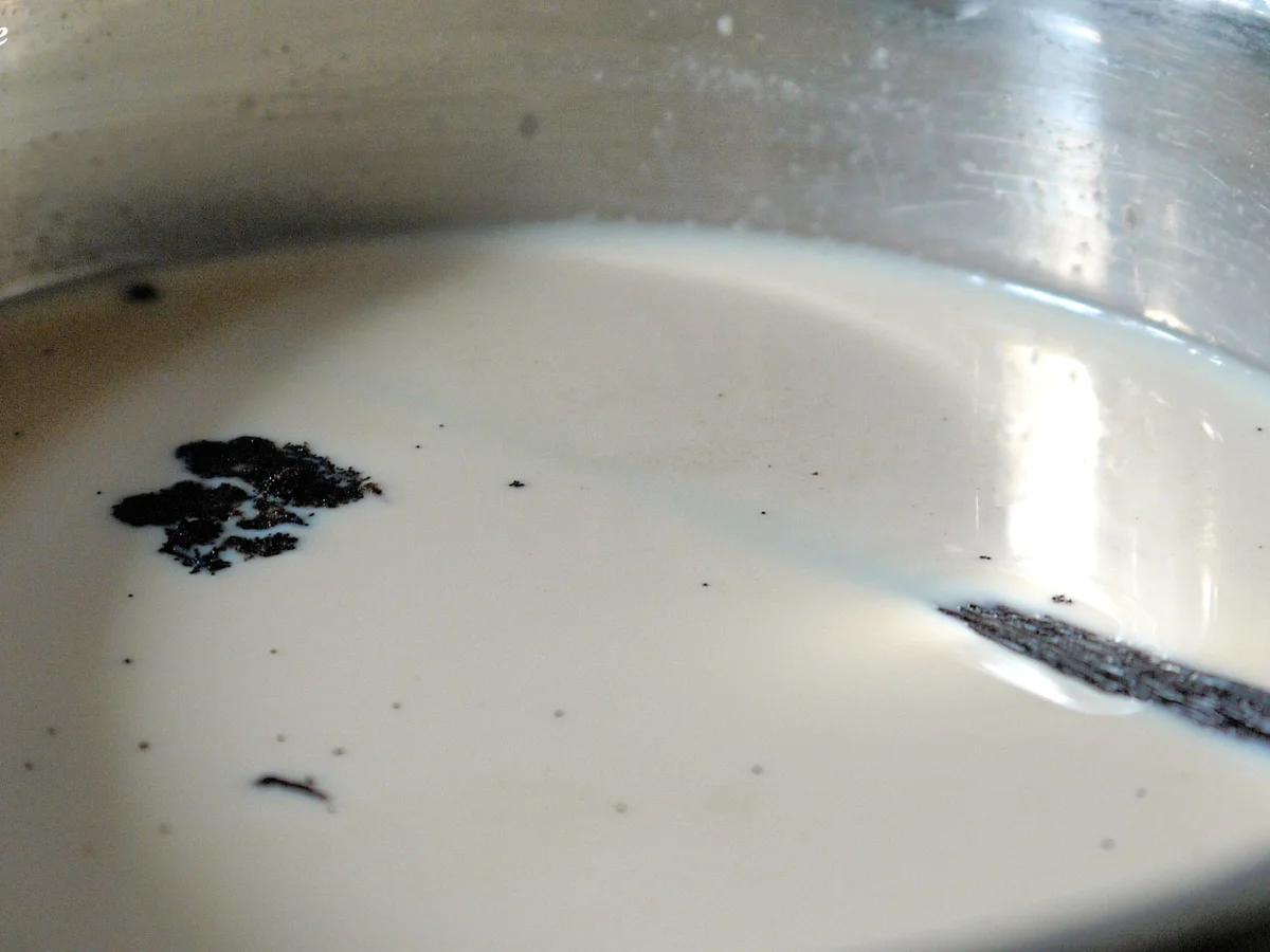 Kaffee-Schokoladen-Dessert - Rezept - Bild Nr. 1592