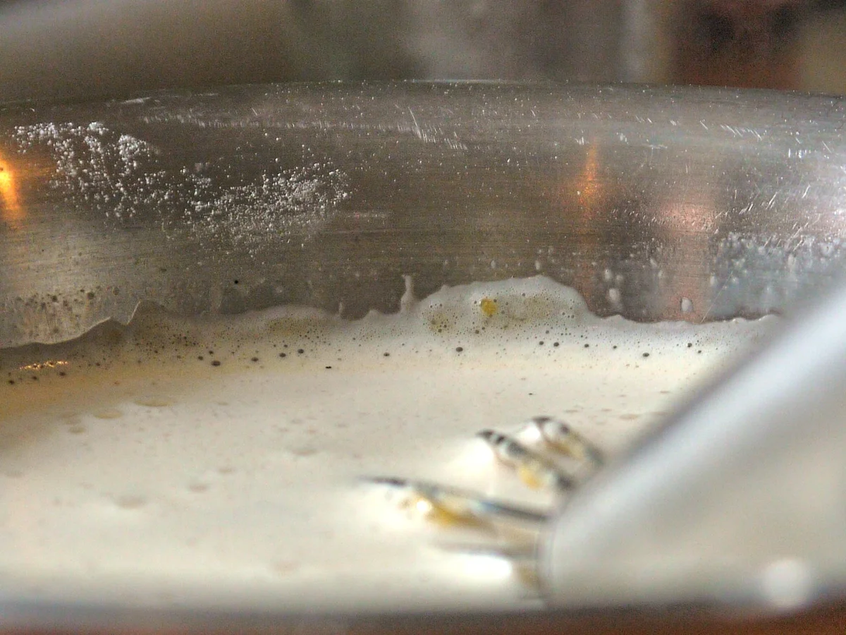 Kaffee-Schokoladen-Dessert - Rezept - Bild Nr. 1595