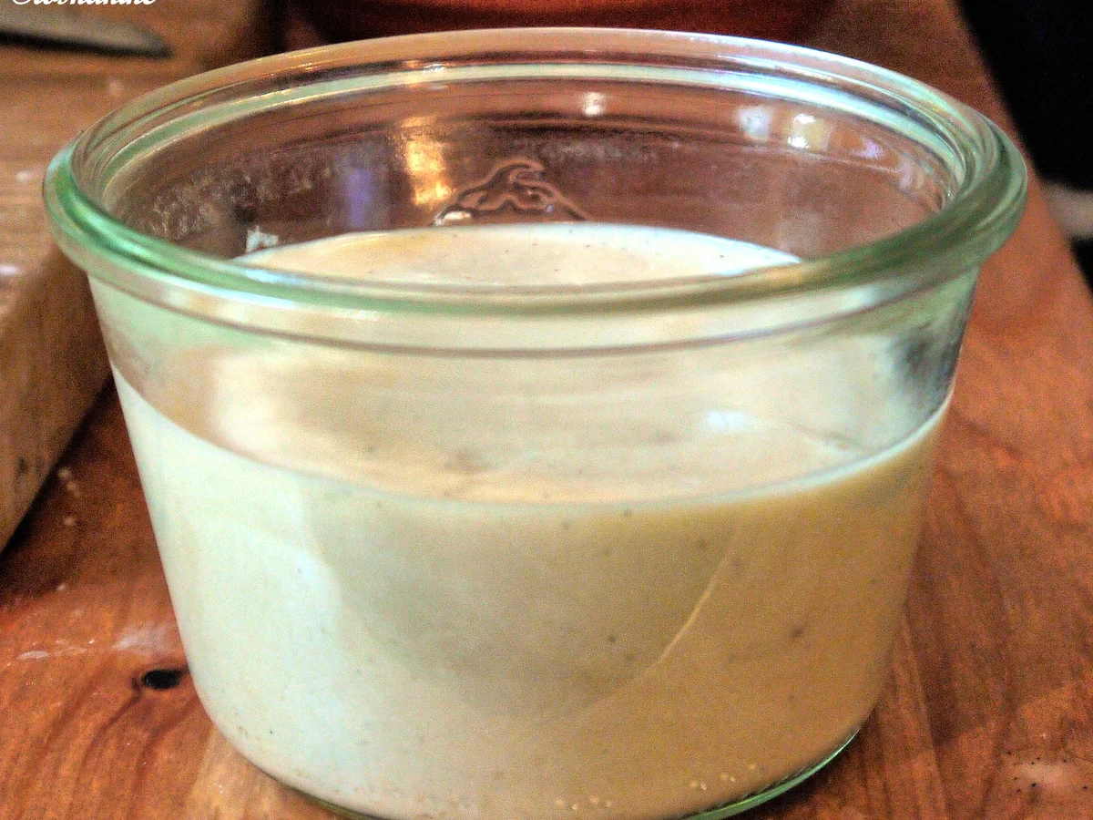 Kaffee-Schokoladen-Dessert - Rezept - Bild Nr. 1598