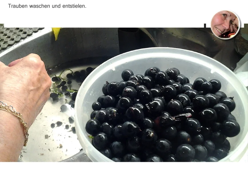 Rezept: Traubengelee Bild Nr. 1644 Traubengelee - Rezept - Bild Nr. 1644