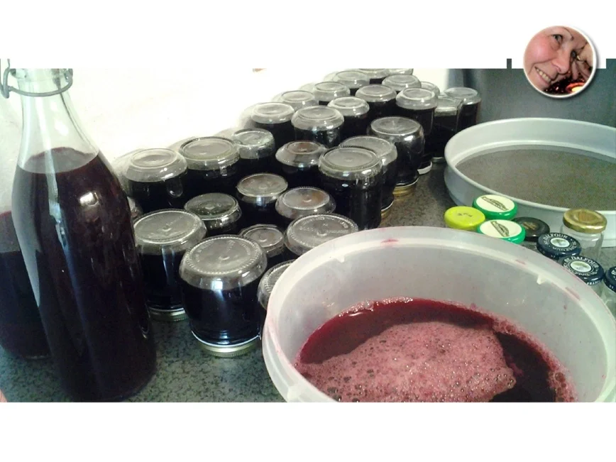 Rezept: Traubengelee Bild Nr. 1664 Traubengelee - Rezept - Bild Nr. 1664