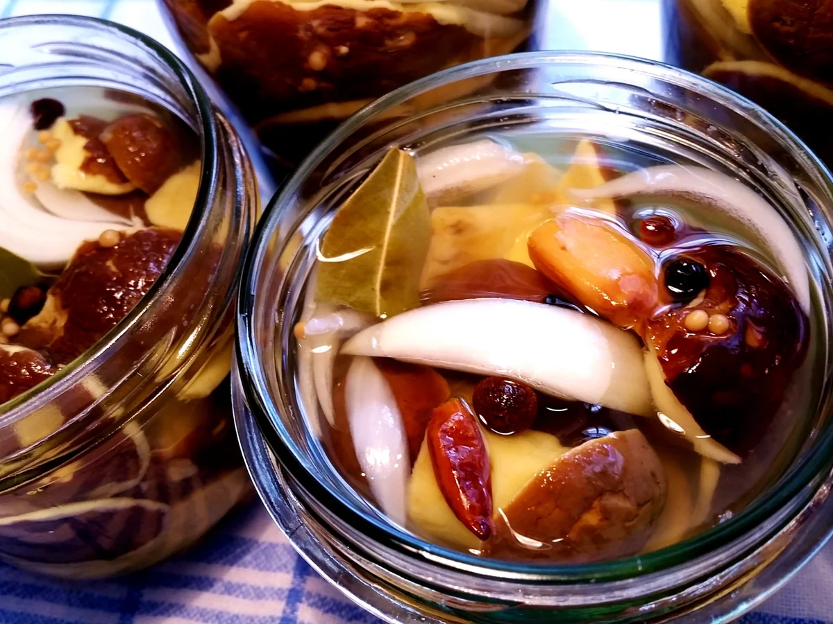 Pilze in Gewürzsud eingelegt und haltbar gemacht - Rezept - Bild Nr. 1644