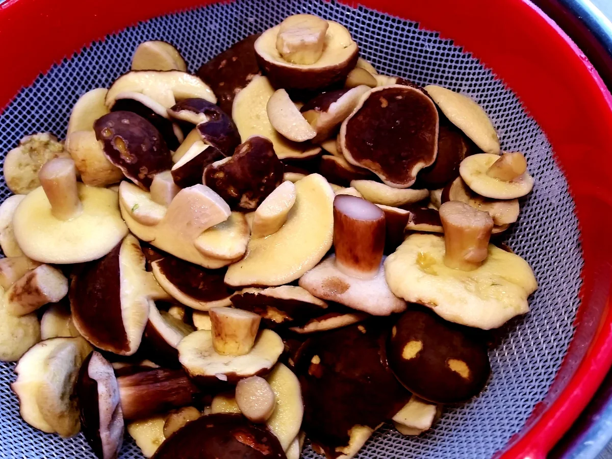 Pilze in Gewürzsud eingelegt und haltbar gemacht - Rezept - Bild Nr. 1646
