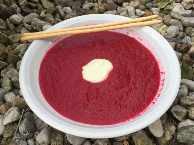 Samtige Rote-Bete-Suppe - Rezept - Bild Nr. 1645