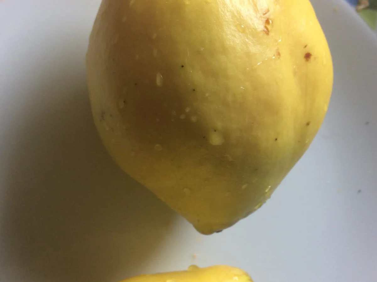 Flammkuchen mit Quitten und Maronen - Rezept - Bild Nr. 1650