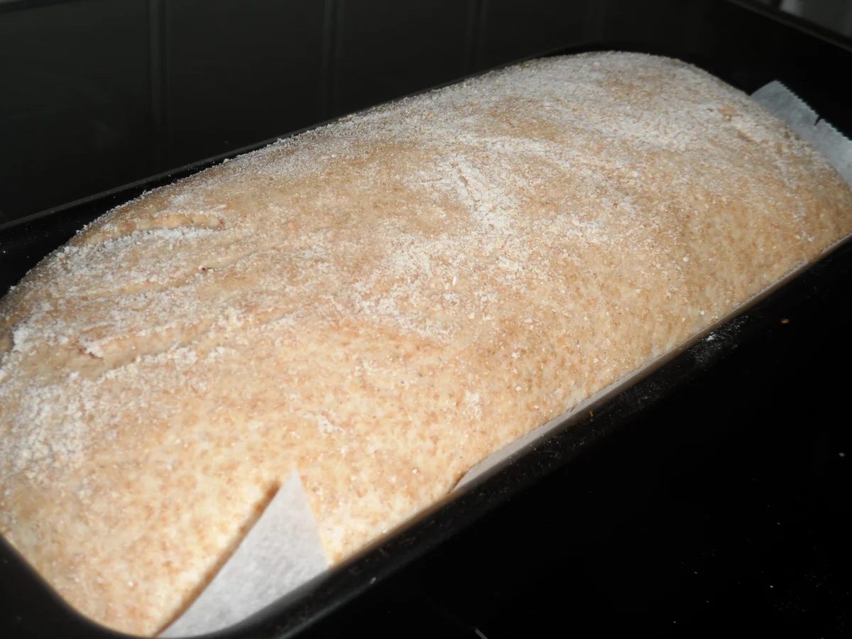 BiNe` S JOGHURTBROT - Rezept - Bild Nr. 1650