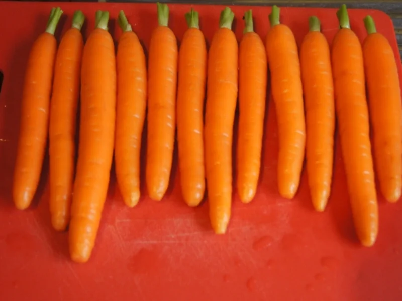 Kalbsschnitzel mit Karotten-Kartoffelstampf und Backofenkarotten - Rezept - Bild Nr. 1694