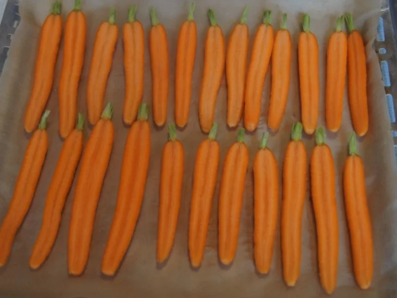 Kalbsschnitzel mit Karotten-Kartoffelstampf und Backofenkarotten - Rezept - Bild Nr. 1695
