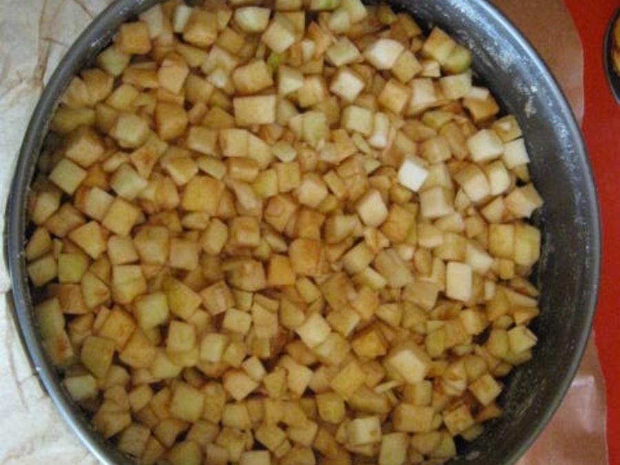 Apfelkuchen mit Sauerrahm und Streusel - einfach - von manschie