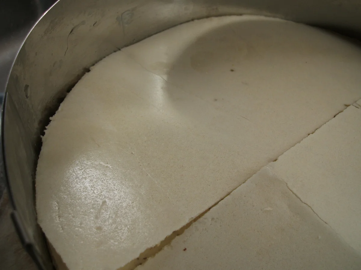 Backen: Apfeltorte "Barbara" - Rezept - Bild Nr. 1720