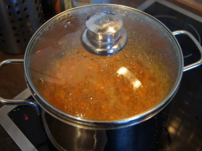 Orangen-Möhren-Suppe - Rezept - Bild Nr. 1724