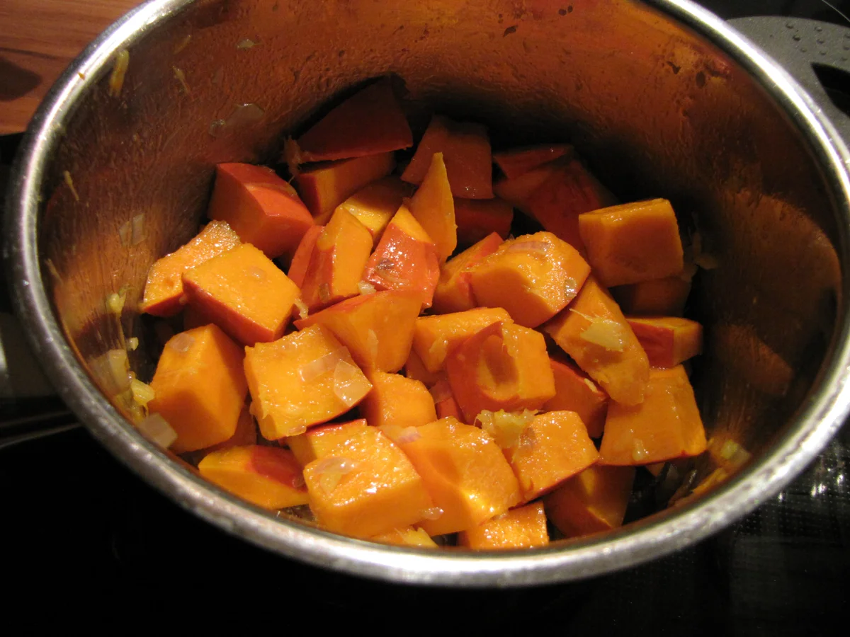 Kürbissoße - Rezept - Bild Nr. 1721