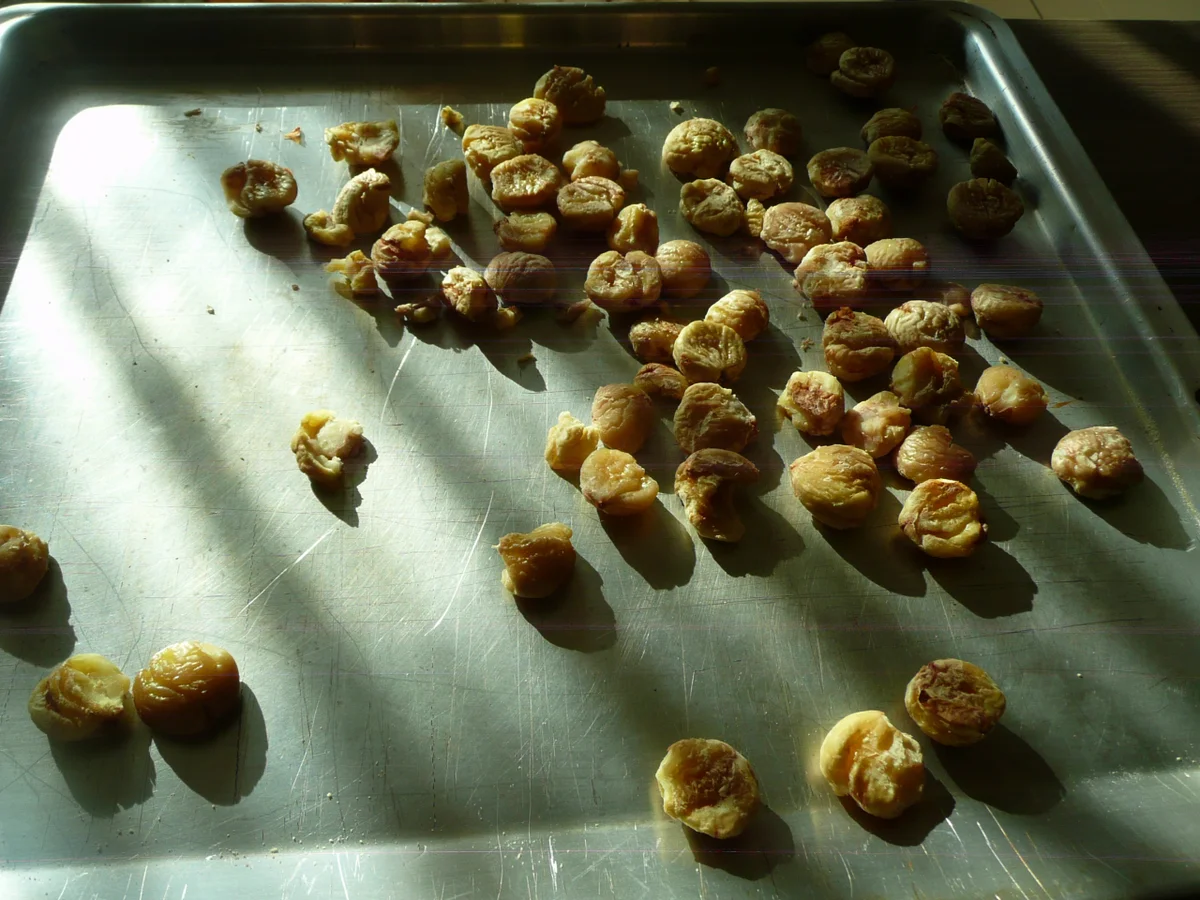 Maronen jetzt für den Winter vorbereiten. - Rezept - Bild Nr. 1740